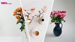 راه و روش نگهداری از گلهای شاخه بریده