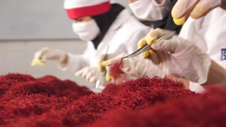 تیزر تبلیغاتی شرکت   زادبوم