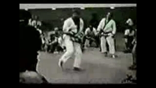 مبارزه چاک نوریس با فری جان لی