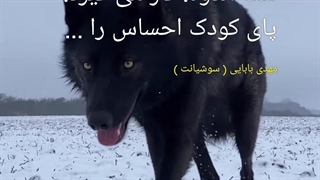 کاریکلماتور، مهدی بابایی ( سوشیانت )