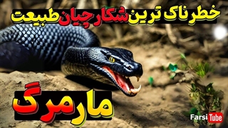 نگاهی به مرگبارترین مارهای جهان