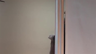 دانلود فیلم تهران: شهر عشق