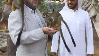 حضور دو طرفدار ولادیمیر پوتین در باغ وحش دبی