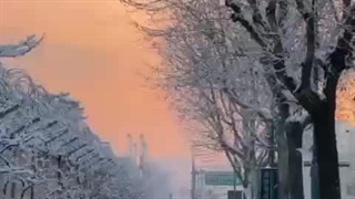 مینی کلیپی از حس و حال کره جنوبی