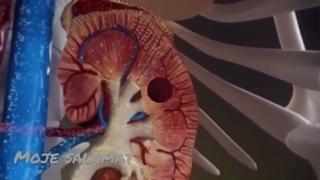 10 عادت خطرناک روزانه که کلیه های شما را نابود می کند