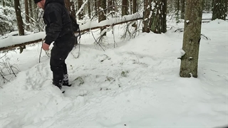 Building a Warm Winter