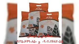 بهترین خاک مناسب گلدان گل گلدون تکثیر قلمه ارگانیک مغذی قوی بهداشتی تقویتی مارانتا