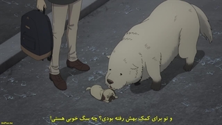 انیمه خانواده x جاسوس فصل 2 قسمت 12 اخر با زیرنویس