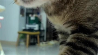 کیفیة کسب المال بسرعة