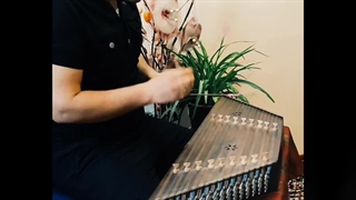 سنتور نوازی ناوک مژگان