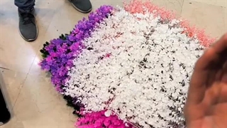 دیوار سبز رنگی