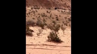 بهترین صحنه های رالی پاریس داکار