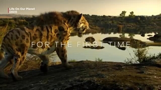 فیلم مستند طبیعت