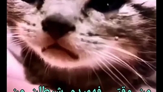 شیطان من این هفته بخش نمیشه+ گریه⁦⁦(⁦ʕ⁠´⁠•⁠ ⁠ᴥ⁠•̥⁠`⁠ʔ⁩