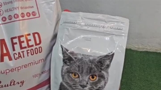 غذای خشک گربه ویدافید مدل Adult - پت شاپ حامی پت