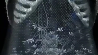 توضیح از این واضح‌تر؟