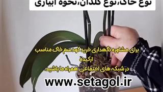 خرید فروش روش دلیل راه شرایط سم کود تقویتی خاک مکمل مناسب پاجوش زدن گل انواع ارکیده