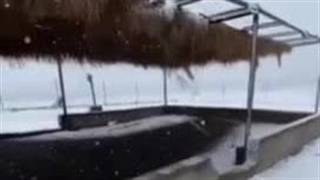 بارش برف در عربستان