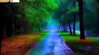 کلیپ شاد روز زن مخصوص استوری از شعر زن استاد غزل موسی الرضا طایفی (طالب اردبیلی) 1402 جدید