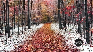 جشن دیگان از جشن های ایران باستان به مناسبت همنام شدن روز و ماه در گاهشمار ایرانیان