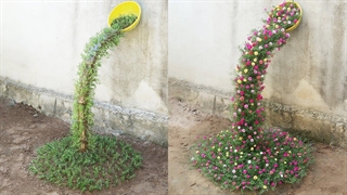 کاشت آبشار برای باغ های کوچک