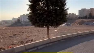 زمین ویلایی فاز 1 هشتگرد