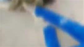 لحظه شهادت هموطنان در گلزار شهدای کرمان