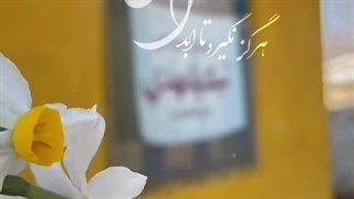 گله امام زمان (عج) به شهدا