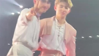 وایی هائو فقط این فن کمو با هانبین شریک شد.