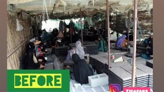 خرید سیدر تیداپارس برای گلخانه نشا