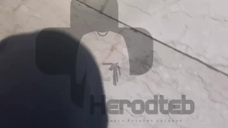 نگاهی به تولیدی هرود | از تولید تا ارسال