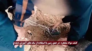 محل اقامت و تردد عوامل تروریستی کرمان و دستگیری برخی از آنها