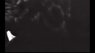 گوگوش - 1350