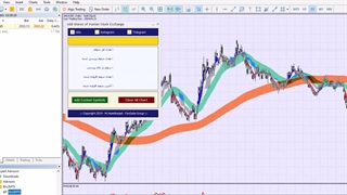 اکسپرت افزودن گروهی دیتای بورس ایران به برنامه متاتریدر 5