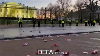 پرتاب عروسک‌های خون‌آلود به‌سمت کاخ سفید