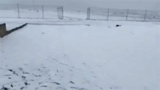 بارش برف سنگین در عربستان سعودی!