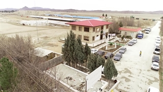 آجر سفال یزد