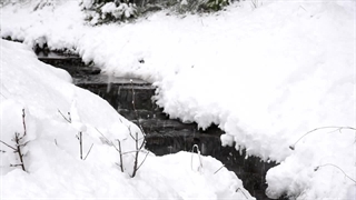 زندگی آهسته در روزهای برفی