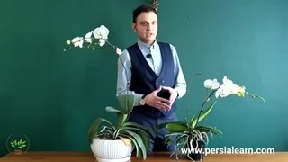 قبل از خرید گل ارکیده حتما این ویدیو رو ببینید