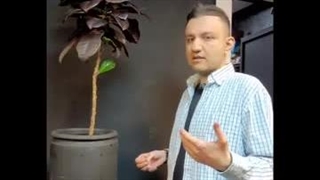 روشهای تامین رطوبت گیاهان آپارتمانی