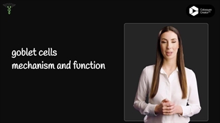 goblet cells