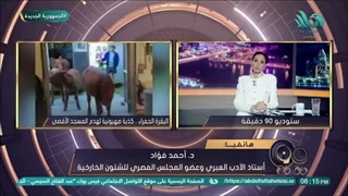 د/ أحمد فؤاد أستاذ الأدب العبری یوضح حقیقة البقرة الحمراء وارتباطها بهدم المسجد الأقصى