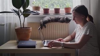 انواع شخصیت های درونگرا | شما کدام یک هستید؟