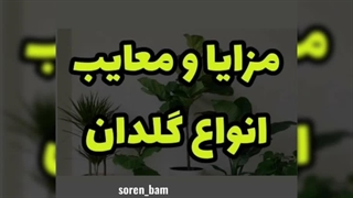 چه گلدانی برای گیاه مناسب است ؟؟؟ (سورن بام)