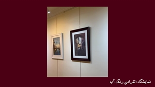 گزارش ویدیویی