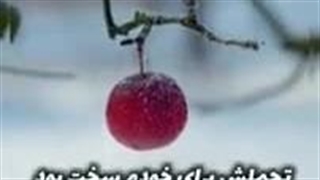 داستان عدالت عمر بن عبدالعزیز #شیخ_یونس_فاروقی