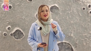 چگونه محتوای اکسپلور اینستاگرام را تغییر دهیم؟ آموزش تصویری