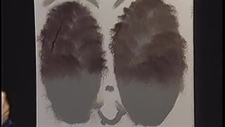 Bob Ross - Double Oval Stream