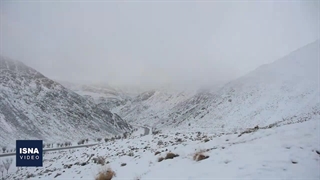 برف شهمیرزاد را سفیدپوش کرد!