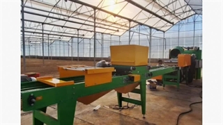 راه اندازی بذرکار گلخانه نشا - تولید نهال و نشا در گلخانه اردبیل